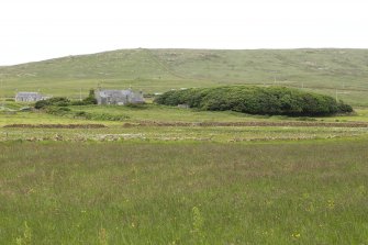 Distant view from south with copse to north east