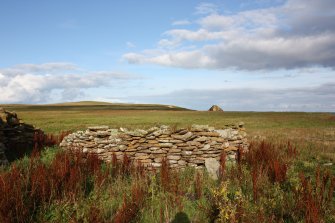 An enclosure at Tarf, Swona, looking N.