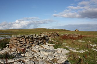 Enclosures at Tarf, Swona, looking NE.