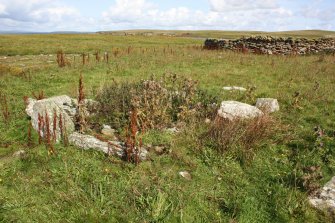 View of a collapsed structure at the western edge of a group of enclosures on the Tarf, looking NE.