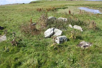 View of a collapsed structure at the western edge of a group of enclosures on the Tarf, looking NW.