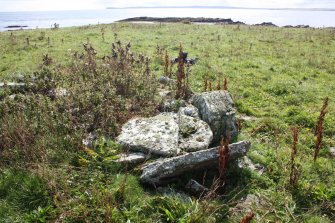 View of a possible cairn at the western edge of a group of enclosures on the Tarf, looking S.