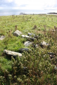 View of a possible cairn at the western edge of a group of enclosures on the Tarf, looking S.