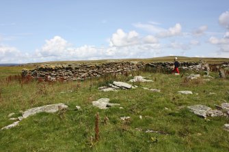 View of enclosures, the Tarf, Swona, looking E.