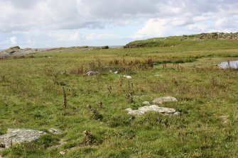 View of enclosures, the Tarf, Swona, looking E.