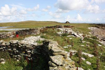 View of enclosures, the Tarf, Swona, looking N.