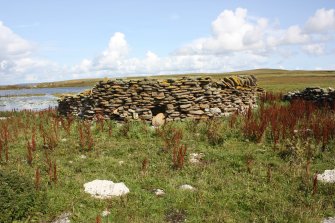 View of enclosures, the Tarf, Swona, looking E.