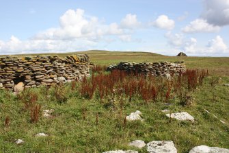 View of skeo, the Tarf, Swona, looking W.