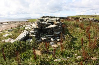 View of enclosures, the Tarf, Swona, looking W.