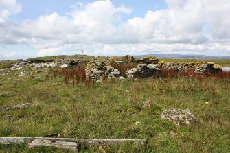 View of enclosures, the Tarf, looking W.