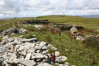 View of enclosures, the Tarf, looking W.