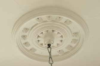 Interior. Detail of ceiling rose within ground floor