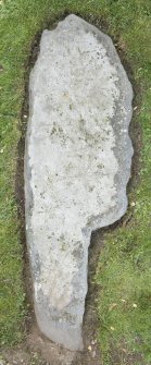 View of recumbent cross slab. Available light.