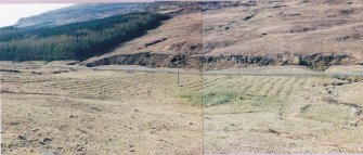 Farmstead site photographed in 2002, before ring feeding poached the ground. On the right is the outline of a small enclosure, and centrally, a lighter green shows the position of the only building