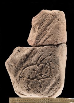 View of carved fragments (including scale)