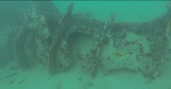 View of partially buried section of steamship Elton