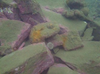 View angular stone blocks, probably ballast on steamship Minieh