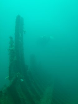 View of ribs and hull plating from interior of Minieh, diver in shot in middle centre)