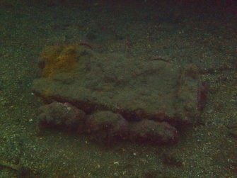 View of sea chest on steamship Minieh