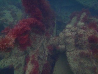 View of overgrown miscellaenous machinery on steamship Numidian