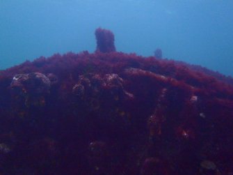 View of boiler on Reinfield