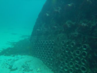 Close up view of boiler tubes on Reinfield