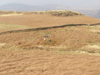 TOR4.3.29 Clearing started on 28-30 before bracken spraying had taken place. 