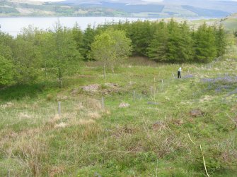 The remains of TOR4.3.1 lie, somewhat isolated, just beyond a forestry fence.