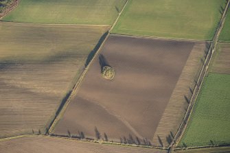 Oblique aerial view of the cairn before removal of trees, looking NE.