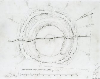 Survey plan and section through the henge at Culbokie.