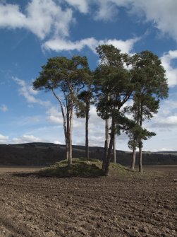 View of Dunfallandy cairn, facing E.
