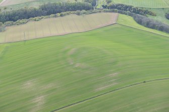 Oblique aerial view of the cropmarks of the fort, looking W.