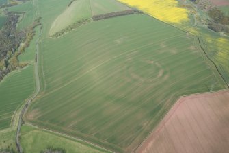 Oblique aerial view of the cropmarks of the fort and field boundaries, looking E.