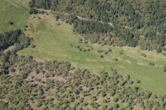 Oblique aerial view of Kinrive Wood, looking NNW.