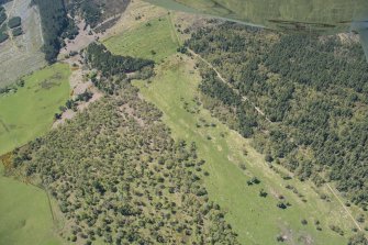 Oblique aerial view of Kinrive Wood, looking W.