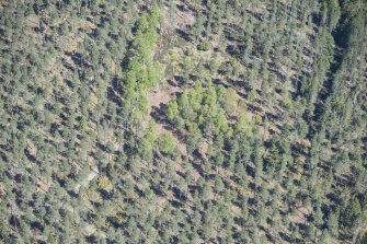 Oblique aerial view of the earthwork, looking ENE.