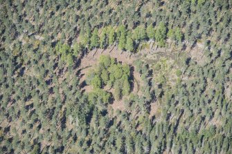 Oblique aerial view of the earthwork, looking N.