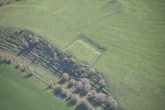 Oblique aerial view of Barnweill moated site, looking ESE.