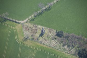 Oblique aerial view of Macrae's Monument, looking S.