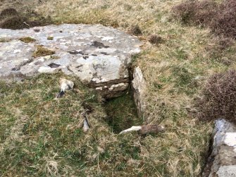 Cist, Rousay, North House.