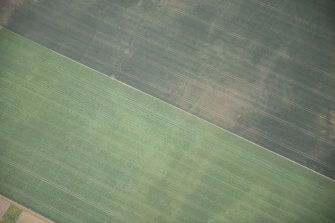 Oblique aerial view of the cropmarks of the pit alignment, looking NE.