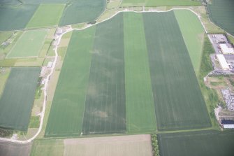 General oblique aerial view of the cropmarks of the pit alignment, looking NNW.