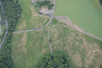 Oblique aerial view of the parkmarks of the plantation bank, looking NE.