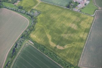 Oblique aerial view of the cropmarks of the Preston Mains cursus, looking NNW.