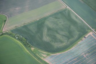 Oblique aerial view of the cropmarks of the ring ditch, looking W.