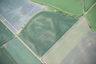 Oblique aerial view of the cropmarks of the ring ditch, looking ESE.