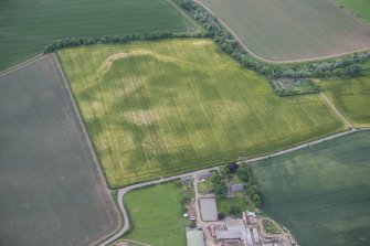 Oblique aerial view of the cropmarks of the Preston Mains cursus, looking S.