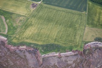 Oblique aerial view of the cropmarks of the enclosure and the site of Seacliff Tower, looking WSW.