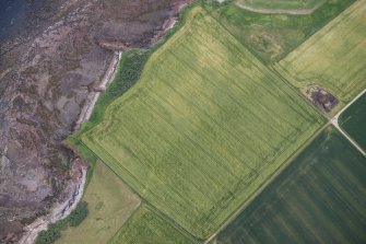 Oblique aerial view of the cropmarks of the enclosure and the site of Seacliff Tower, looking ESE.