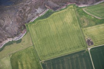 Oblique aerial view of the cropmarks of the enclosure and the site of Seacliff Tower, looking E.